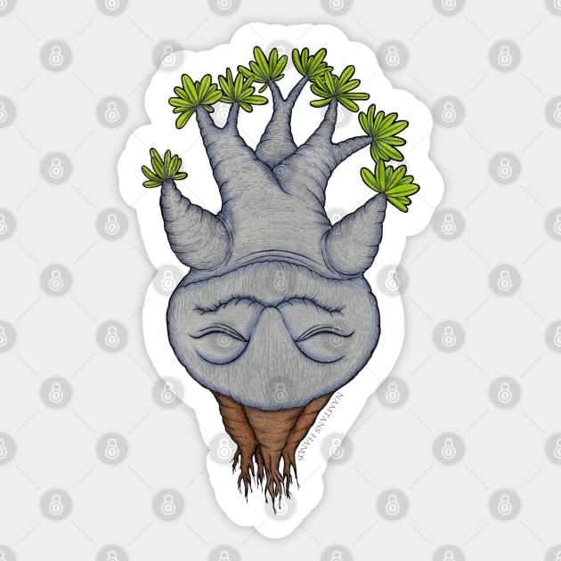 Pachypodium caudex 3 Sticker by Namtan's Hands